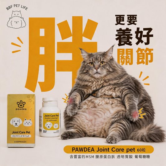Pawdea Joint Care Pet 關節保健品